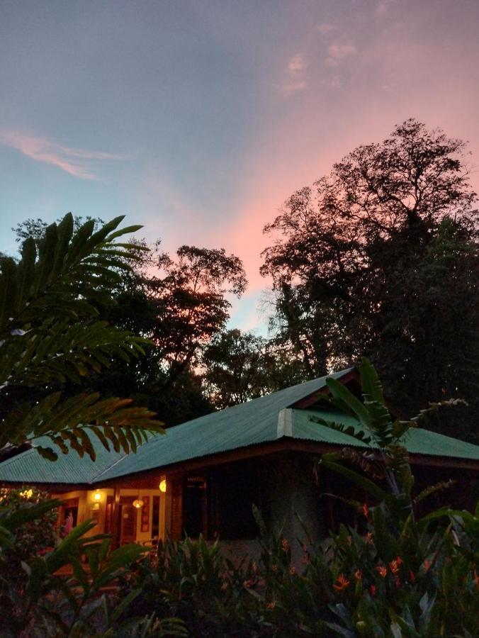Geckoes Lodge Cocles Dış mekan fotoğraf