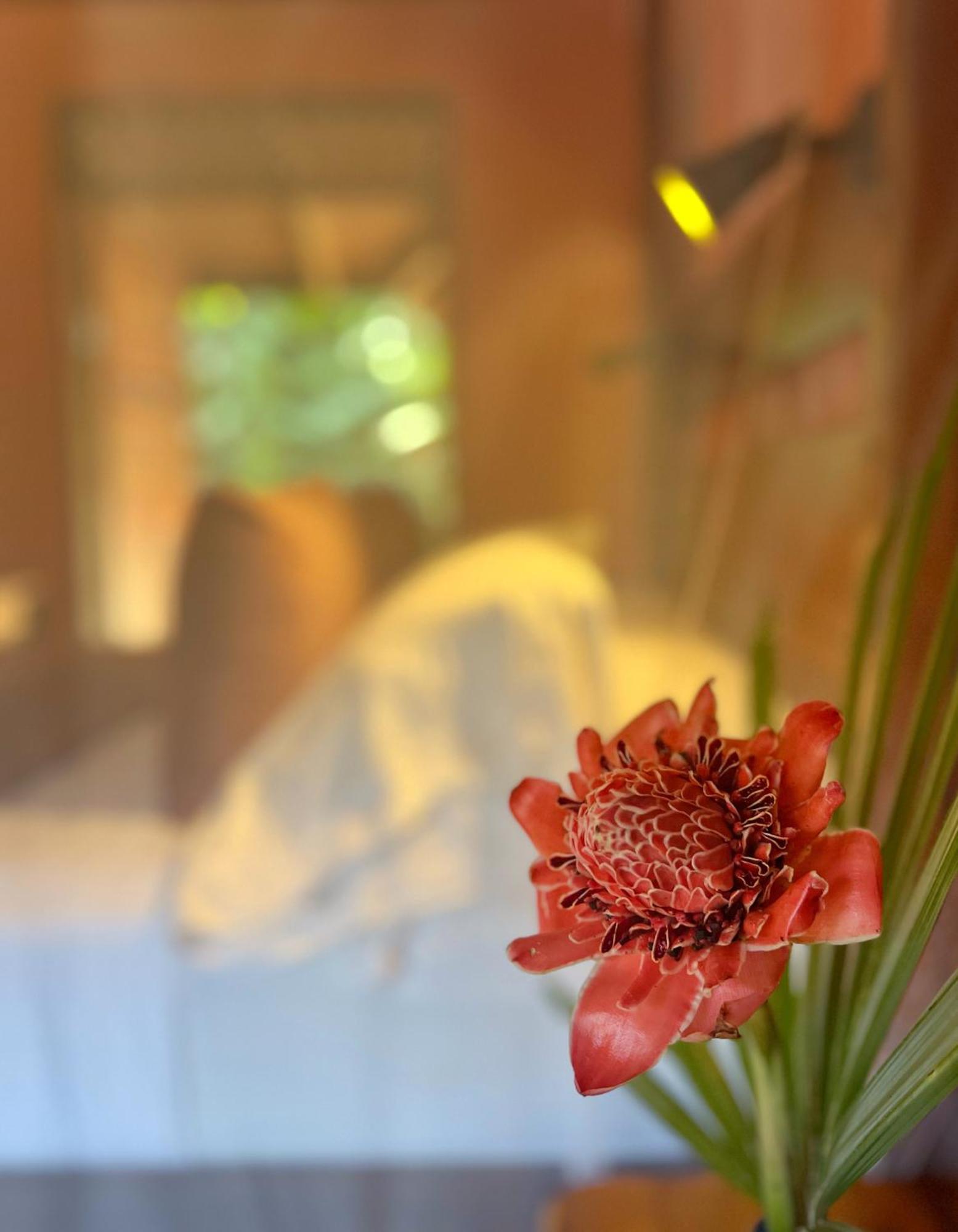 Geckoes Lodge Cocles Dış mekan fotoğraf