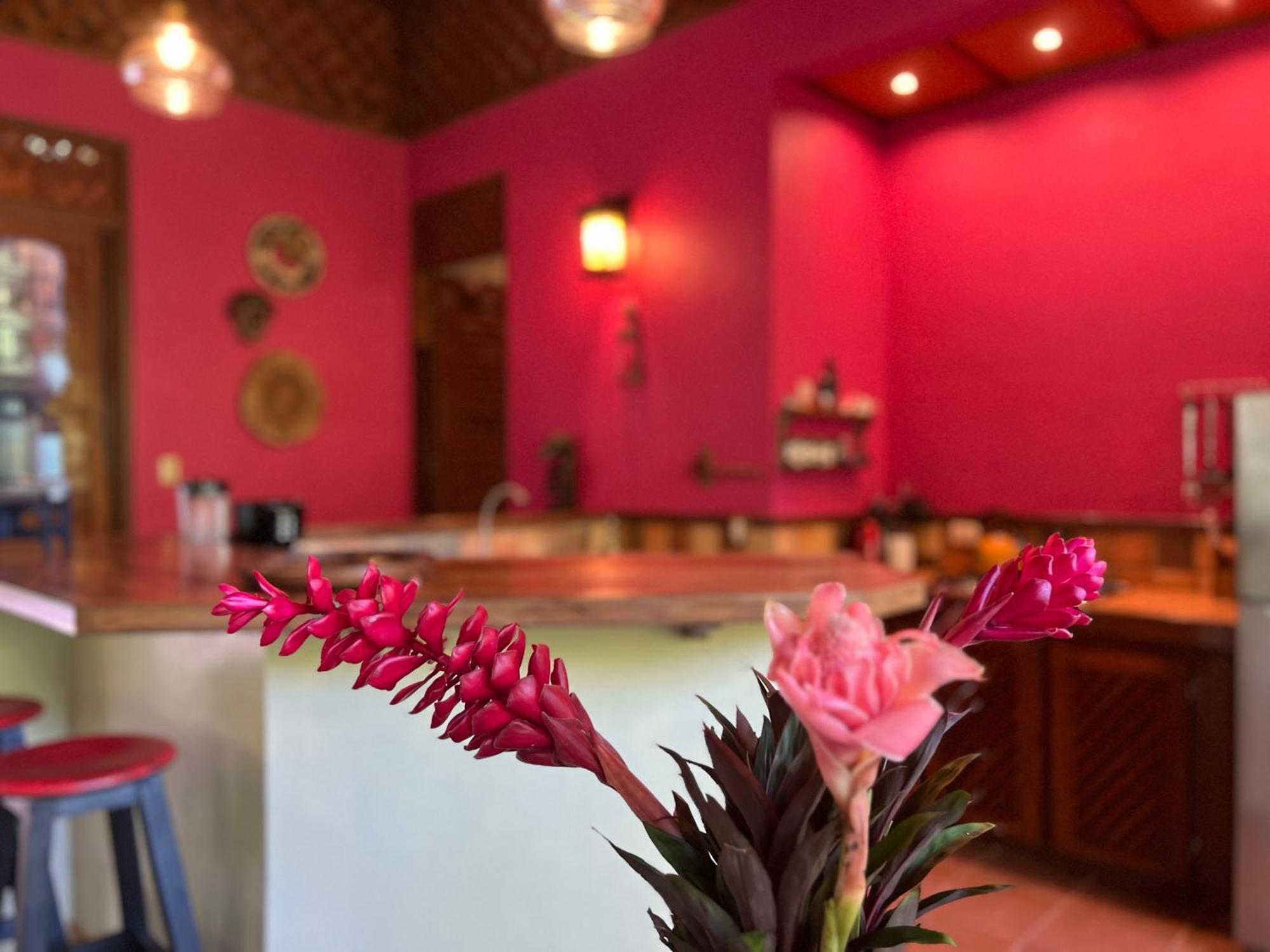 Geckoes Lodge Cocles Dış mekan fotoğraf