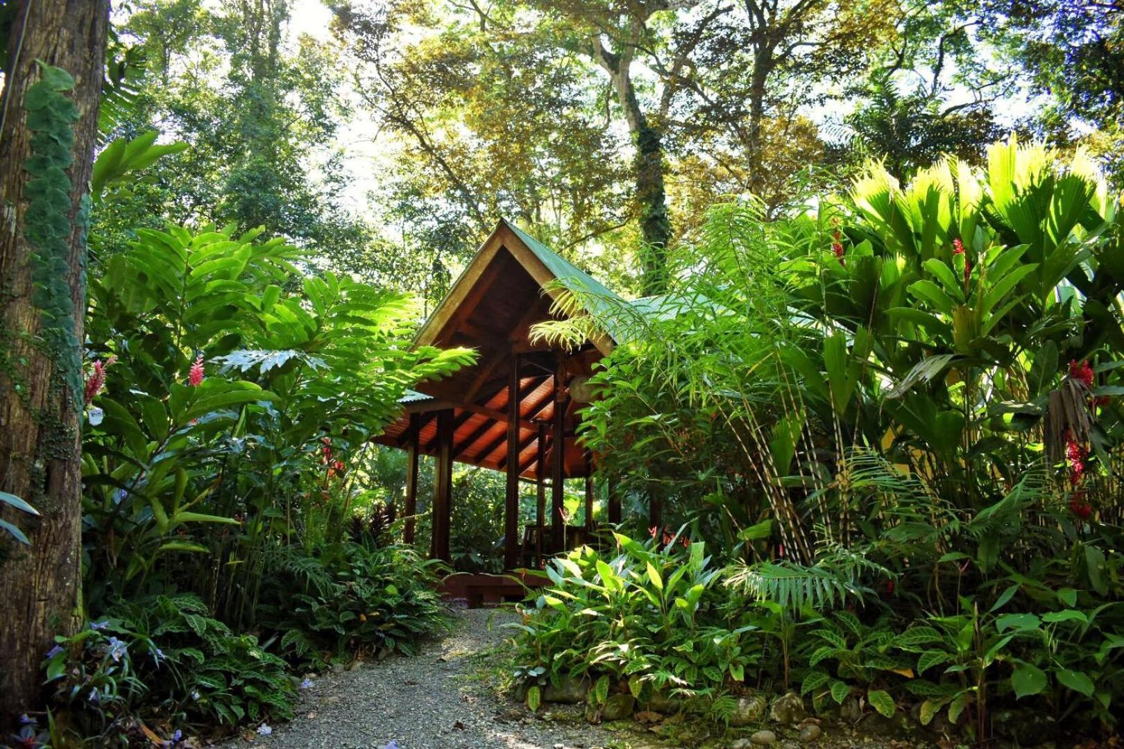 Geckoes Lodge Cocles Dış mekan fotoğraf