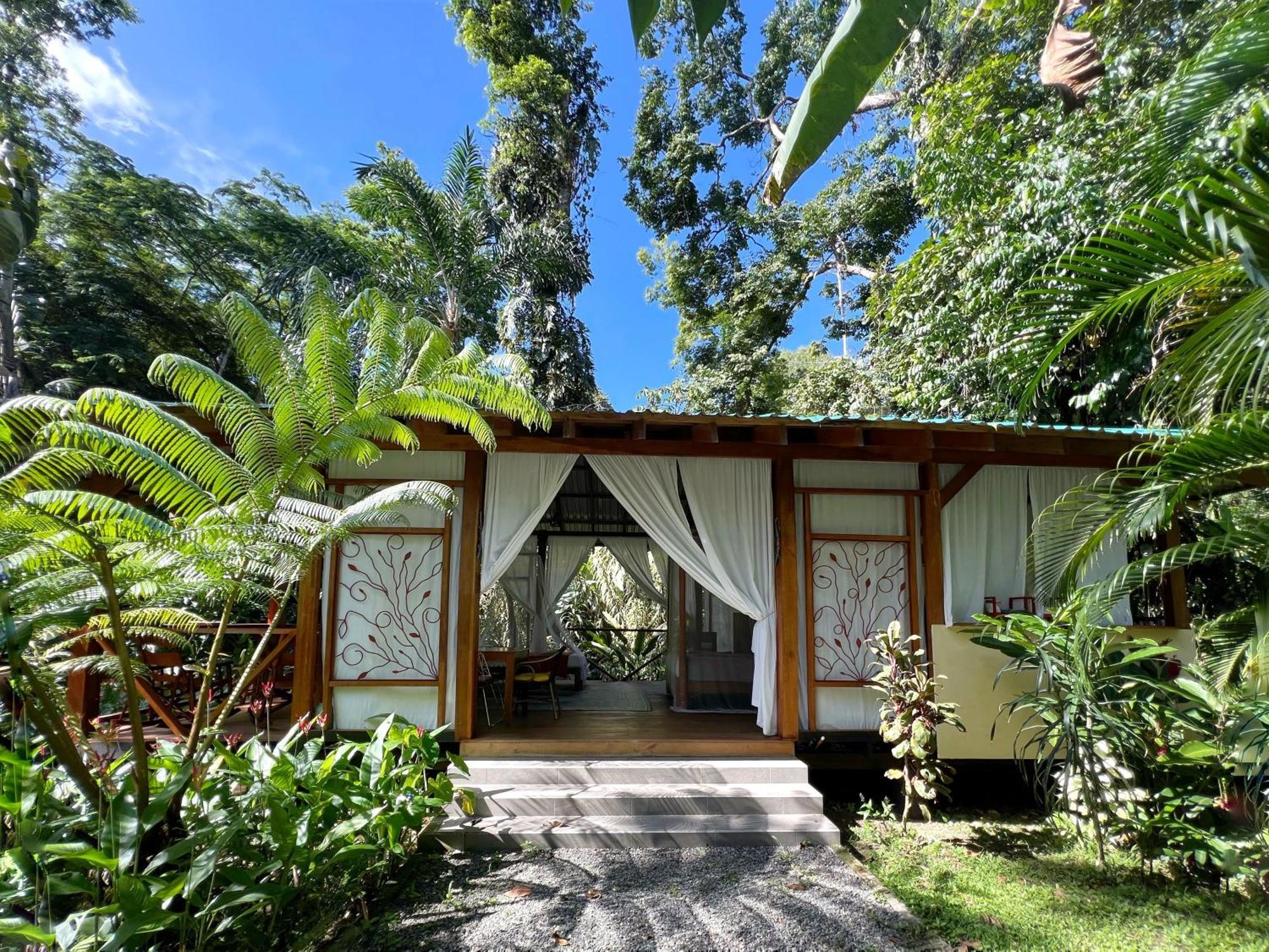 Geckoes Lodge Cocles Dış mekan fotoğraf