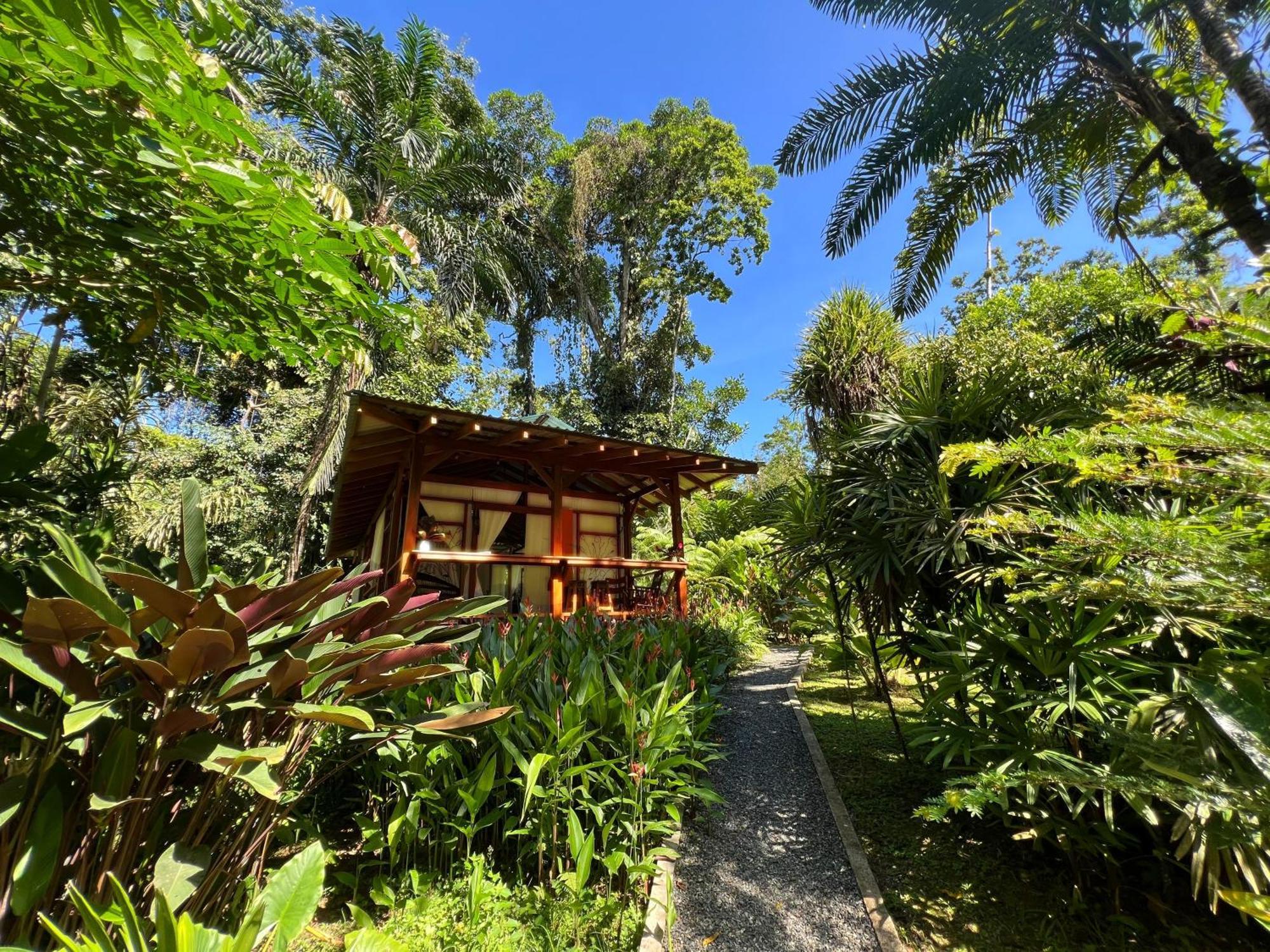 Geckoes Lodge Cocles Dış mekan fotoğraf
