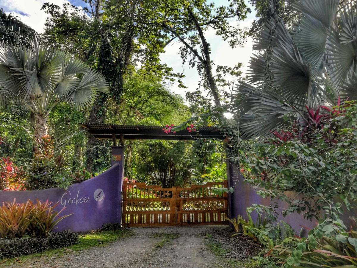 Geckoes Lodge Cocles Dış mekan fotoğraf