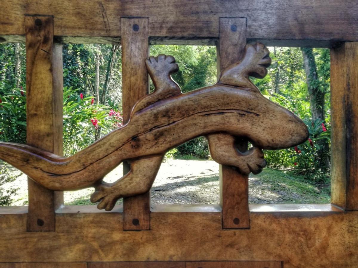 Geckoes Lodge Cocles Dış mekan fotoğraf