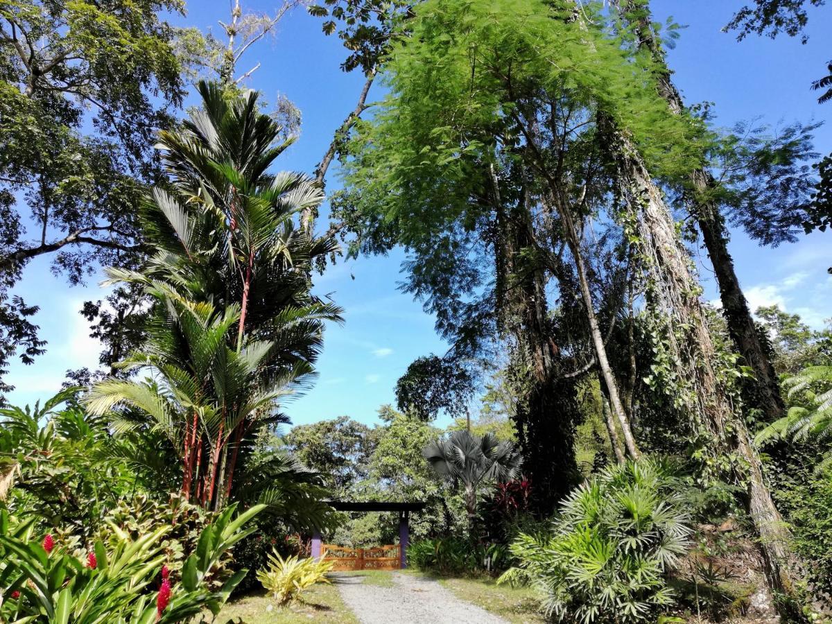 Geckoes Lodge Cocles Dış mekan fotoğraf